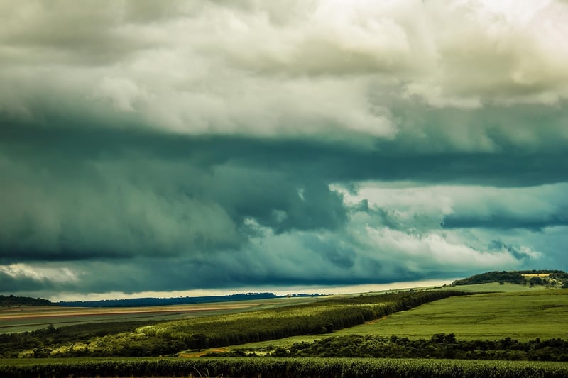 Temporal Immersions